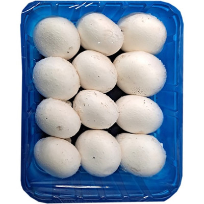 CHAMPIÑON EN BANDEJA 500 gr