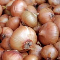 CEBOLLITA FRANCESA PERLA Verdura fresca | deHigosaPeras CEBOLLITA FRANCESA PERLA Verdura fresca | deHigosaPeras