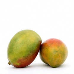 MANGO EXTRA NACIONAL Fruta fresca | deHigosaPeras