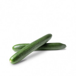 PEPINO HOLANDES Verdura fresca | deHigosaPeras