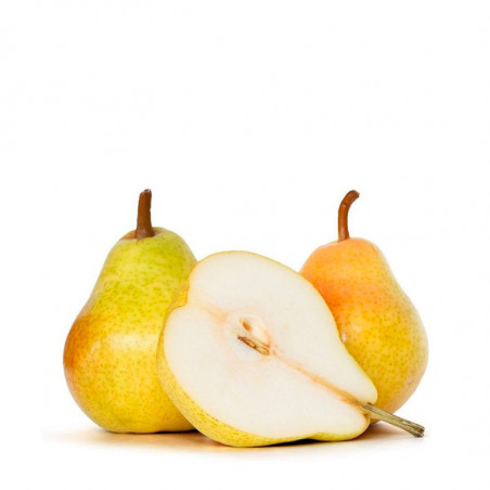 PEAR CASTELL
