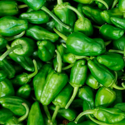 PIMIENTO PADRON Verdura fresca | deHigosaPeras