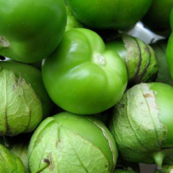 TOMATE MEJICANO Verdura fresca | deHigosaPeras