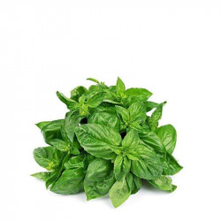 ALBAHACA FRESCA Hierbas Aromáticas frescas | deHigosaPeras