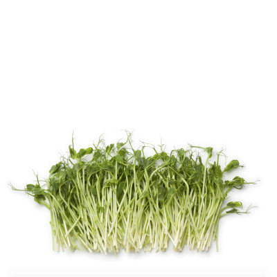 PEA SHOOTS